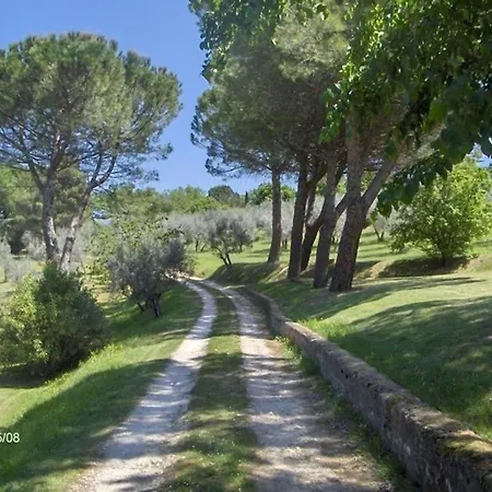 Ferienwohnung In Spoleto Mit Garten, Grill Und Terrasse Arezzola